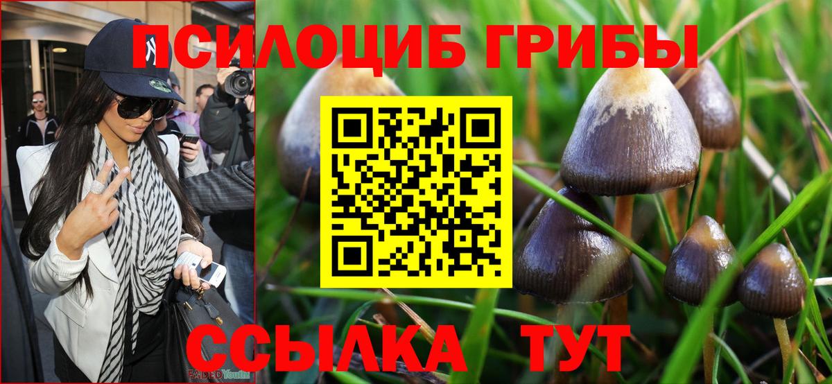 Галлюциногенные грибы ЛСД Белово